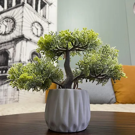 Center - Your Cosy Corner טיראנה